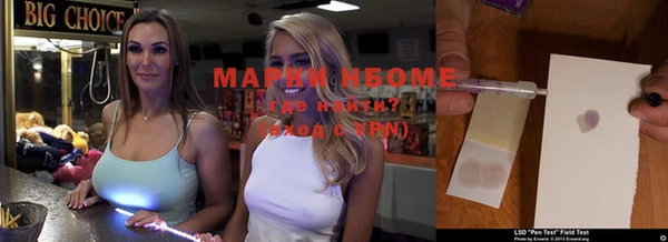мдпв Богданович