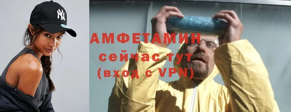 мдпв Богданович