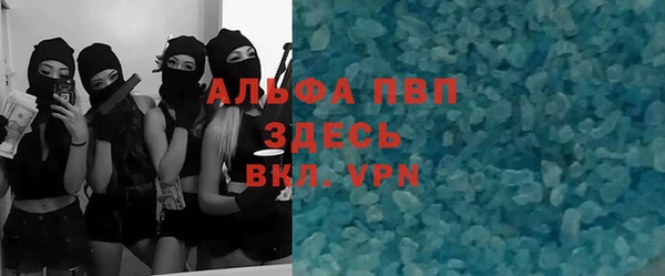 мдпв Богданович