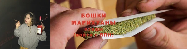 хмурый Богородск