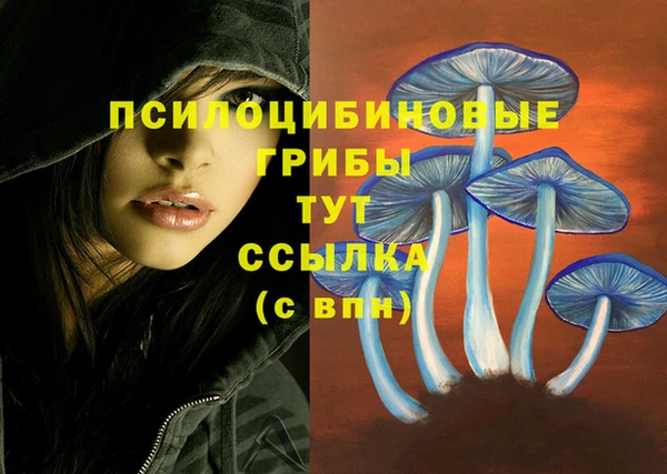 синтетический гашиш Богородицк