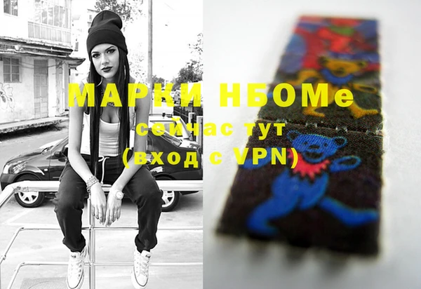 хмурый Богородск