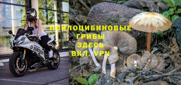 синтетический гашиш Богородицк