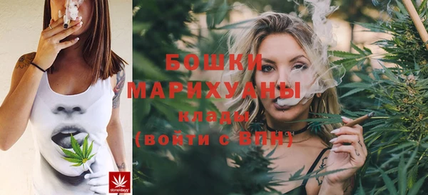хмурый Богородск