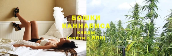 мдпв Богданович